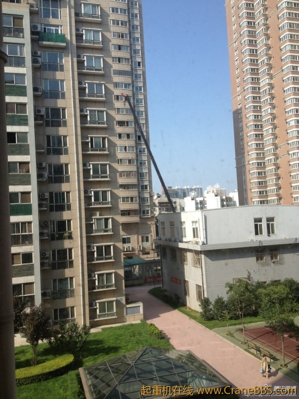 毛毛 006.jpg