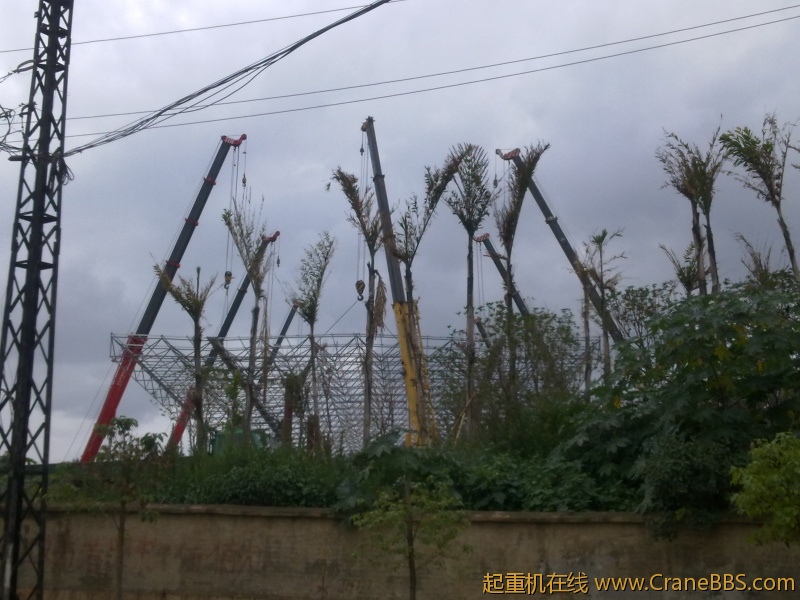 20120712011.jpg