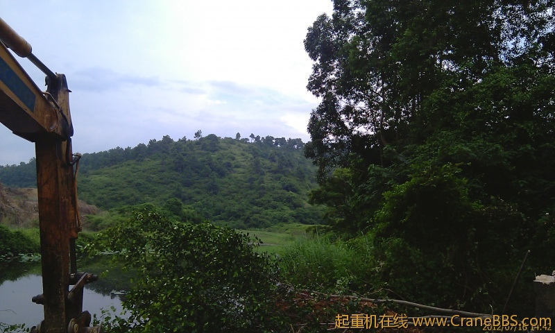 IMAG1364.jpg
