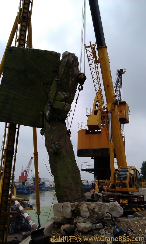 IMAG0026.jpg