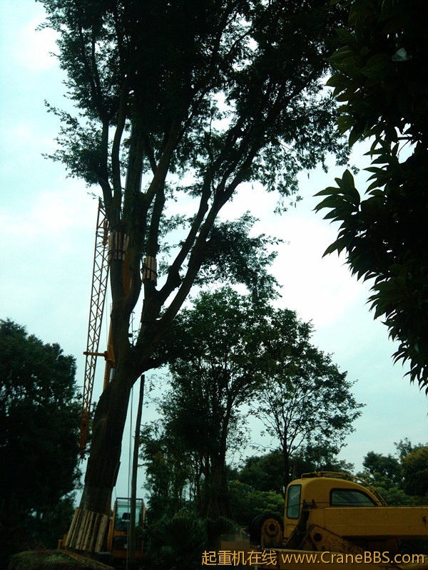IMG_20120630_172857_副本.jpg