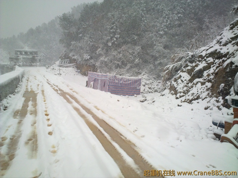 20101215245.jpg
