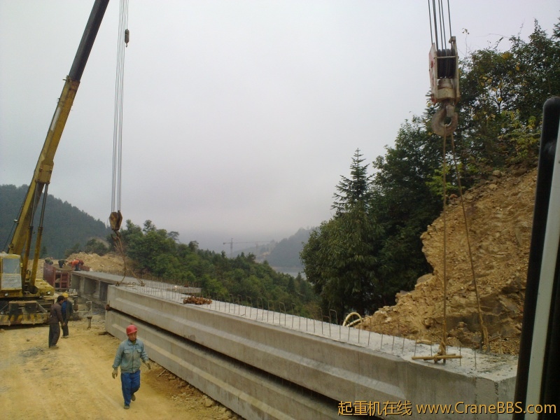 20101112134.jpg