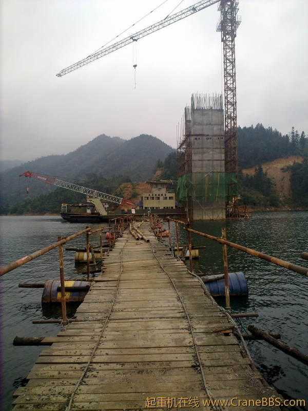 20101115142.jpg