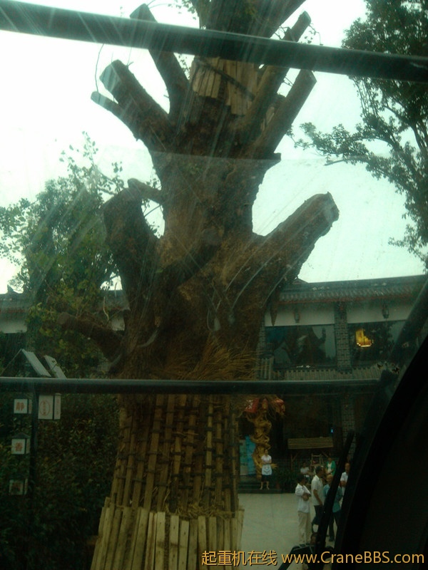 IMG_20120709_174938_副本.jpg
