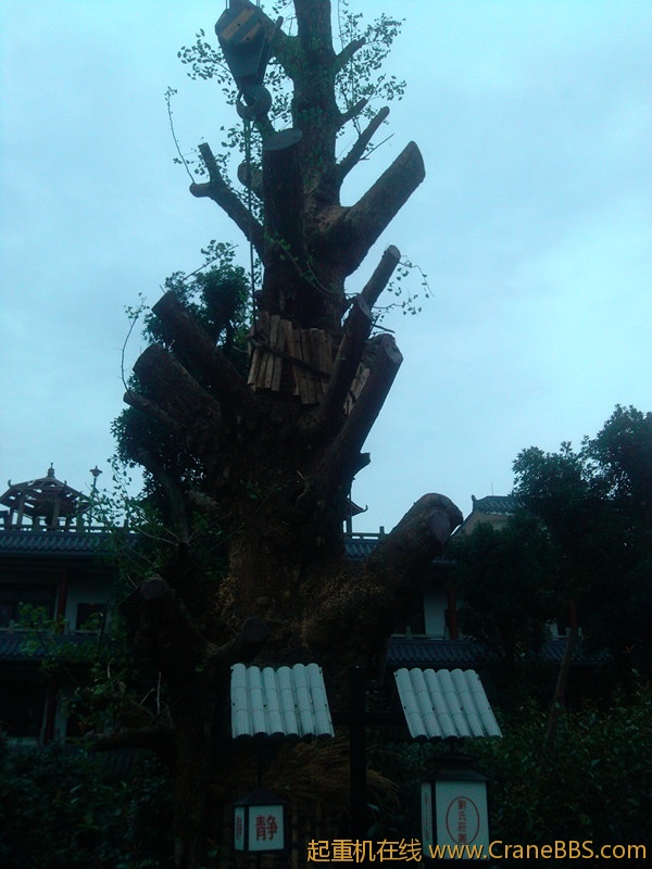 IMG_20120709_181020_副本.jpg