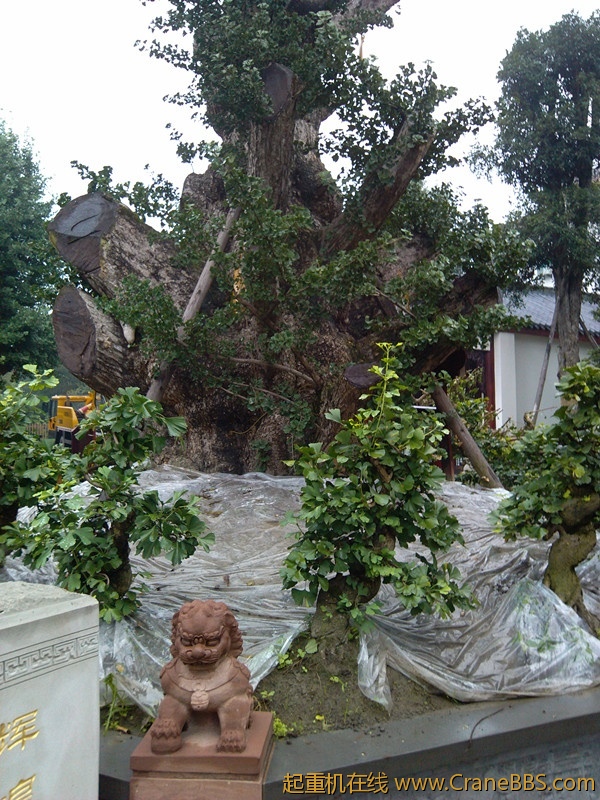 IMG_20120704_072410_副本.jpg