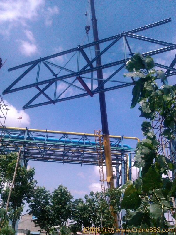 IMG_20120723_142336.jpg