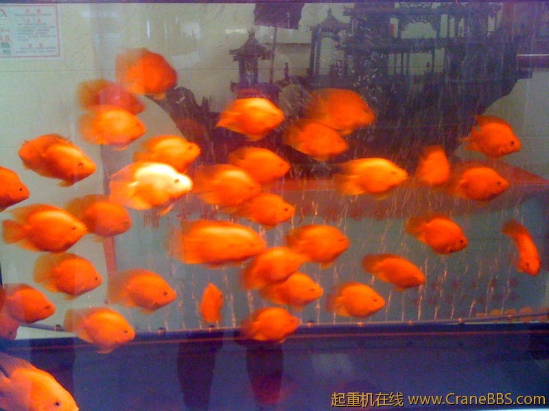 手机照片 8550.jpg