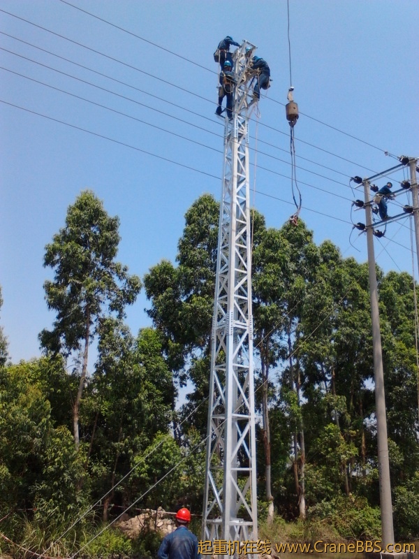 IMG_20120629_110911.jpg