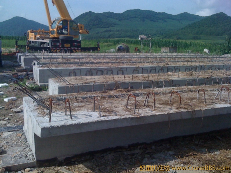 手机照片 8553.jpg