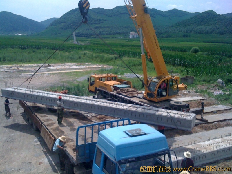 手机照片 8565.jpg