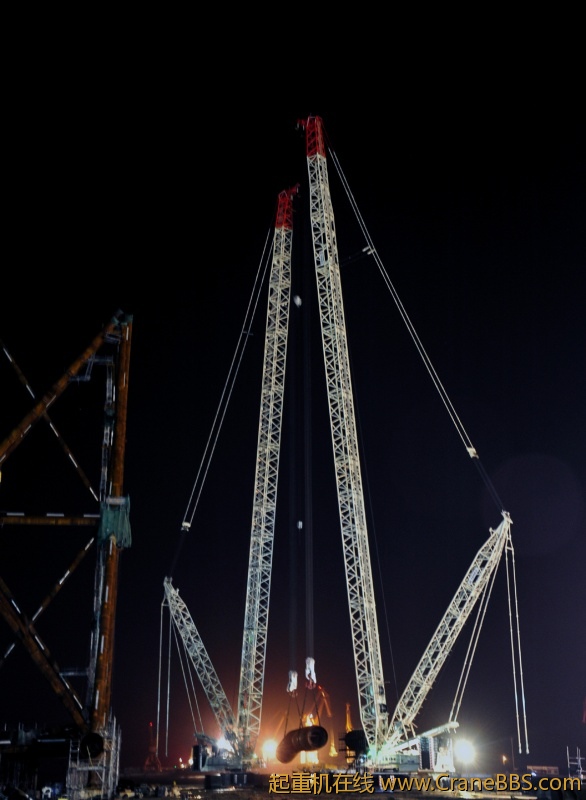 DSC_900.jpg