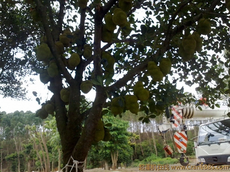 20110708047.jpg