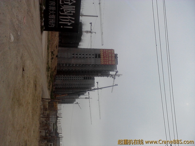 P01-08-12_08.41.jpg