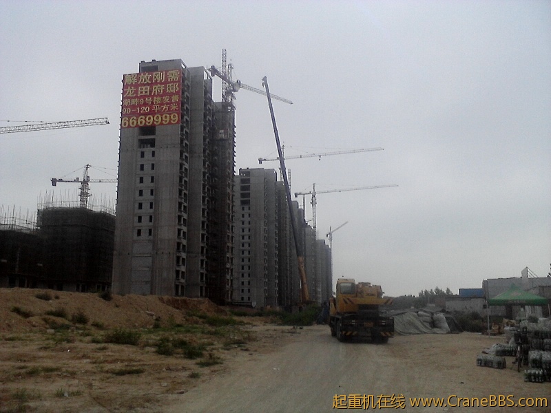 P01-08-12_08.42.jpg