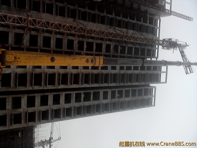 P01-08-12_09.28.jpg