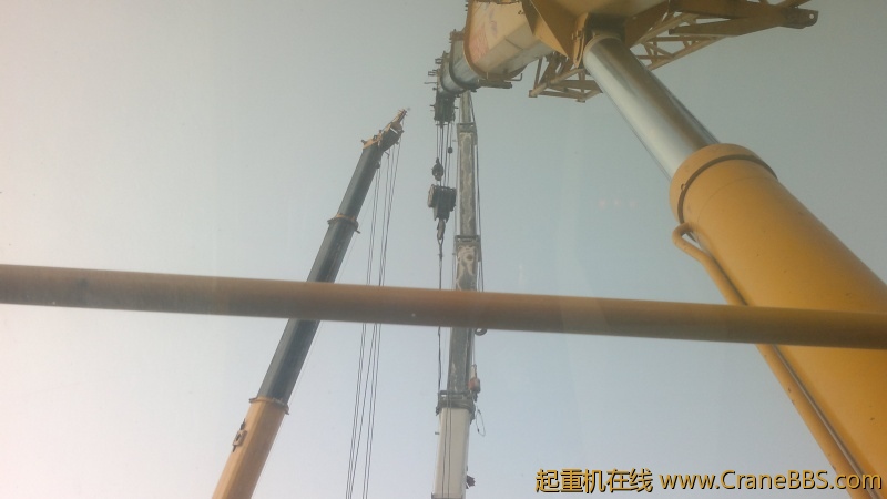 照片 533.jpg