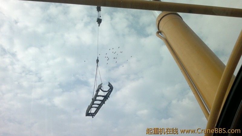 照片 387.jpg