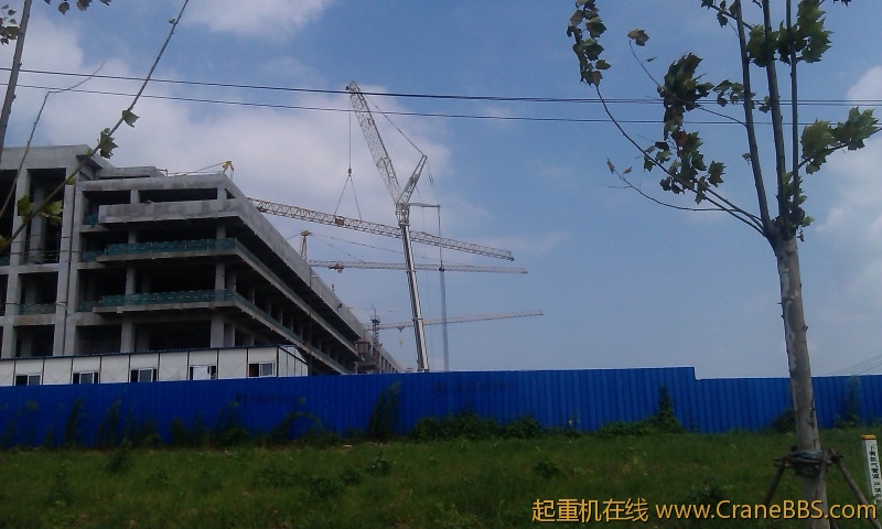 IMAG0032.jpg