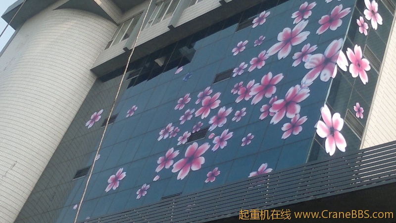 20120802384.jpg