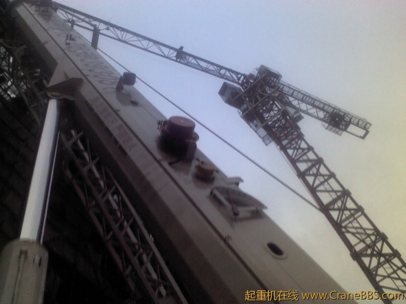 IMG201.jpg