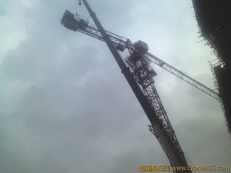 IMG197.jpg
