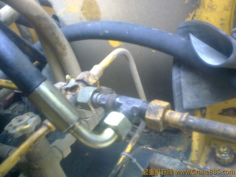 20120411437.jpg