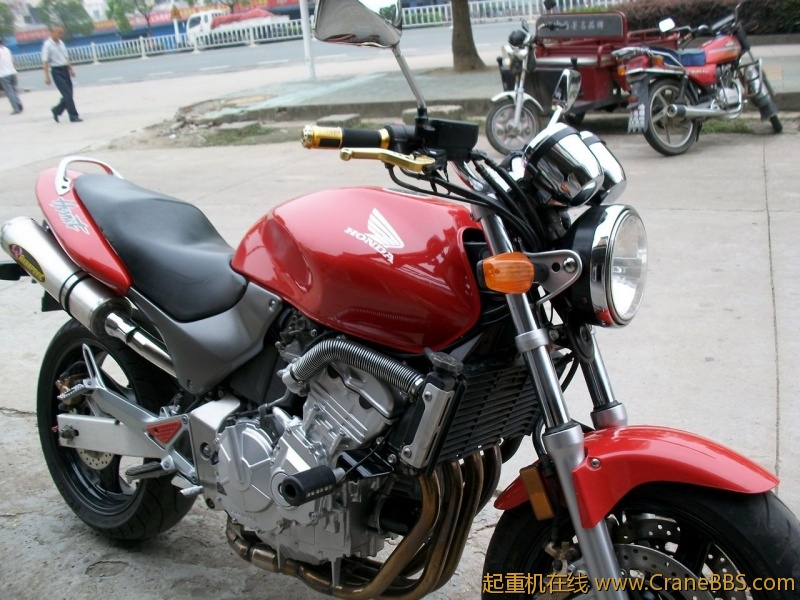 ALIM1299.JPG