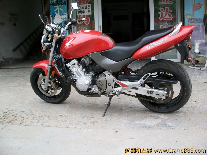 ALIM1295.JPG