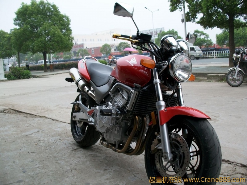 ALIM1293.JPG