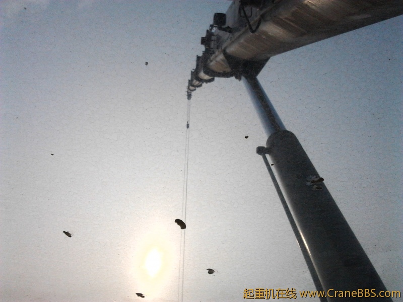 IMG_20120716_071141.jpg