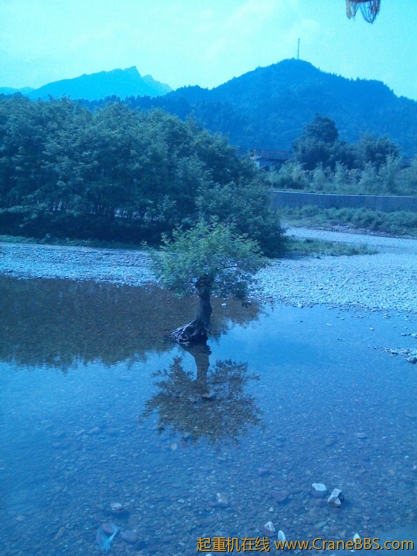 IMG_20120807_100849.jpg