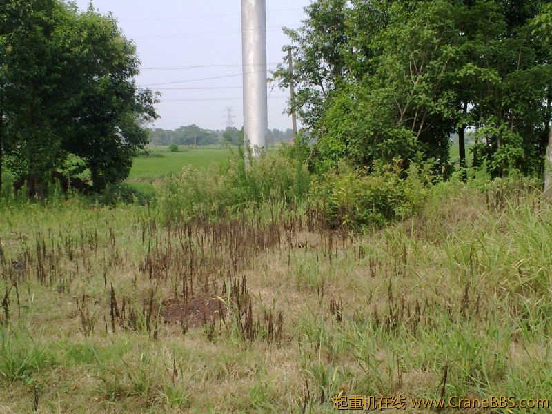 20120811270.jpg
