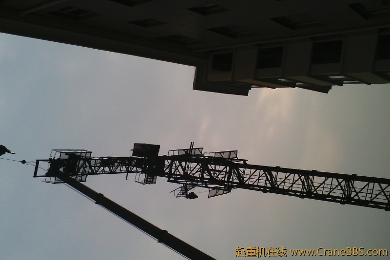IMG_20120625_082755.jpg