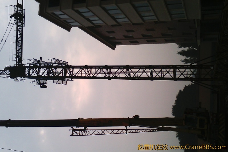 IMG_20120625_082547.jpg