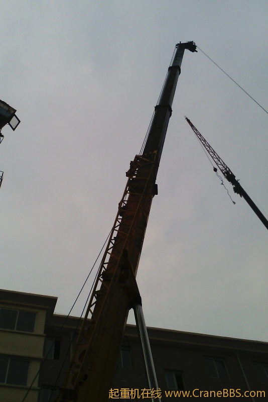 IMG_20120625_082452.jpg