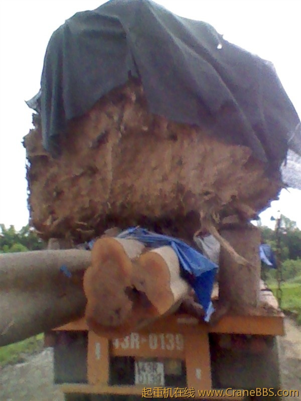 psbCAI6T06W.jpg
