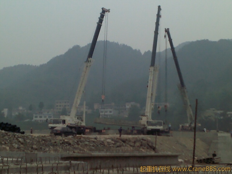 IMG175.jpg