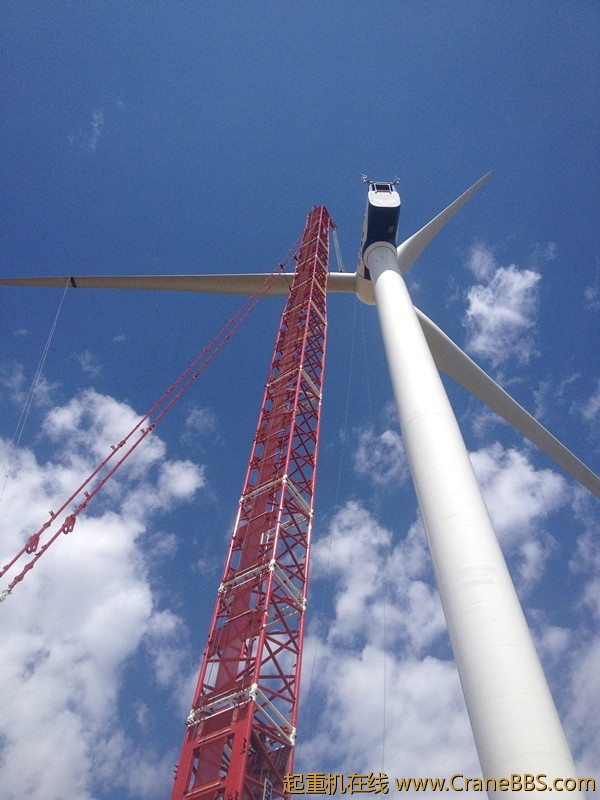 照片 044_副本.jpg