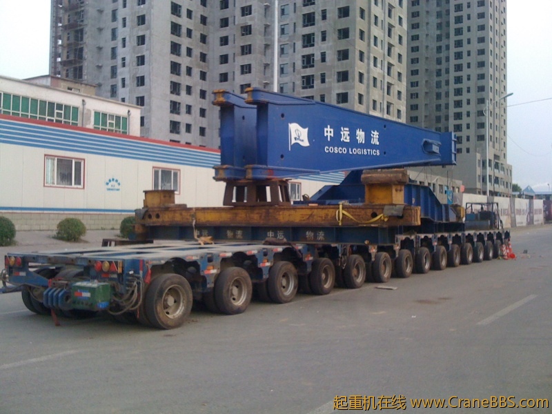 手机照片 8187.jpg