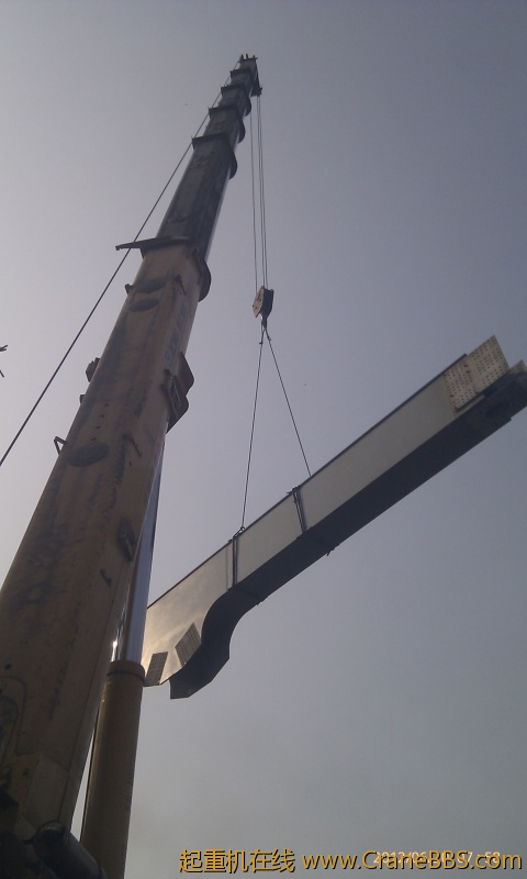 IMAG0221.jpg