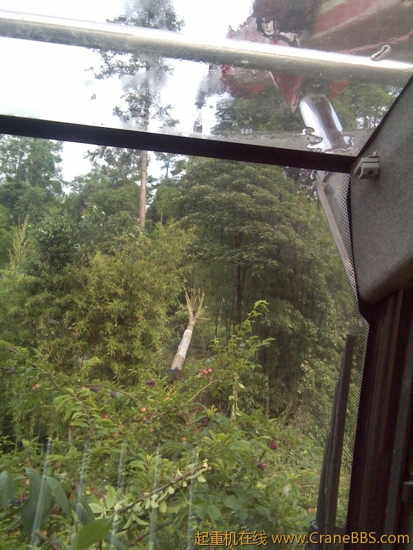 IMG_20120624_083355.jpg