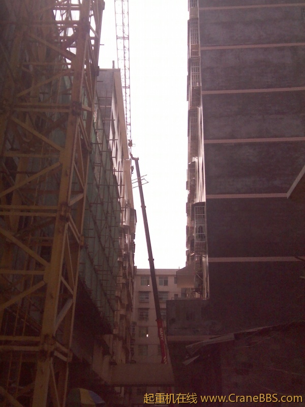 IMG_20120622_102139.jpg