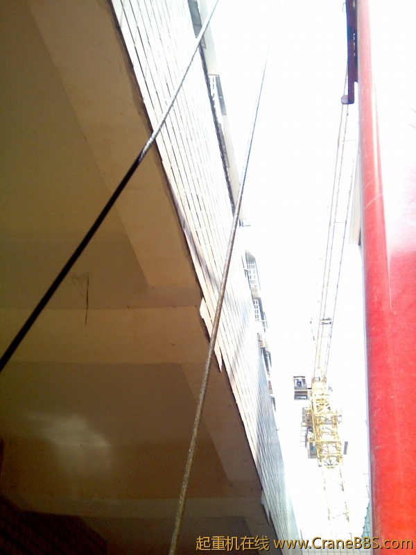 IMG_20120622_102418.jpg