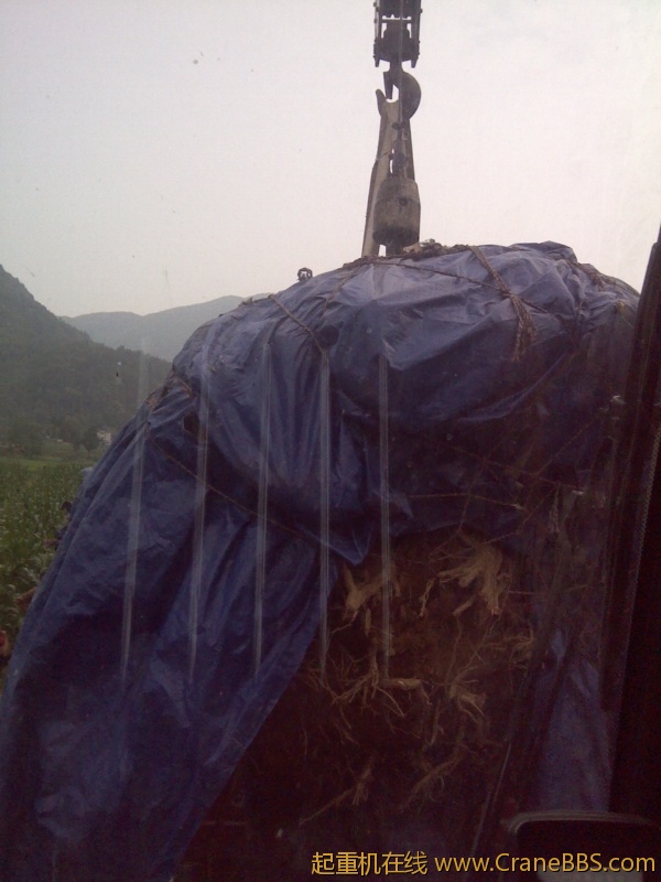 IMG_20120624_172012.jpg