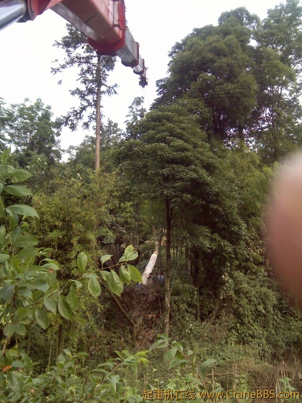 IMG_20120624_083705.jpg