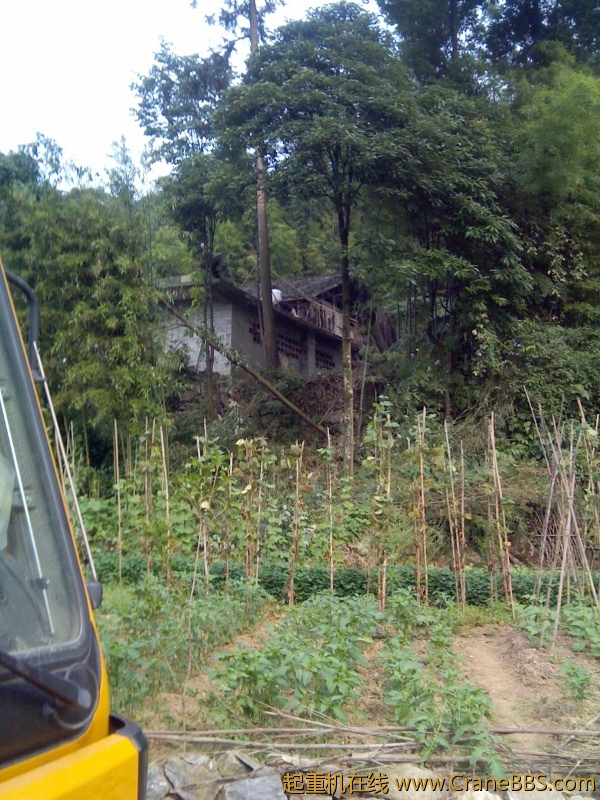 IMG_20120624_083835.jpg
