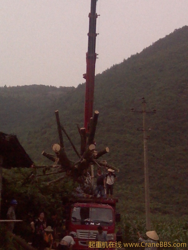 IMG_20120624_172216.jpg