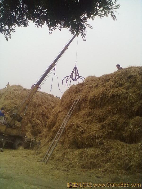 20120625603.jpg